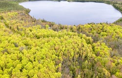 On FOREST RD 8300, Marenisco, MI 49947
