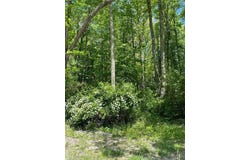 Sunrise Valley Road, Blue Ridge, GA 30513