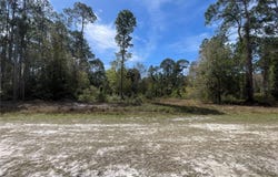 103 ROSEWOOD STREET, GEORGETOWN, FL 32139