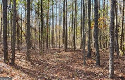 Crawford Road, Barnesville, GA 30204