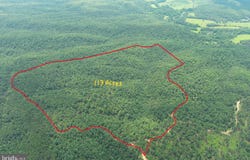 113 ACRES OFF CAPON SPRINGS ROAD, YELLOW SPRING, WV 26865