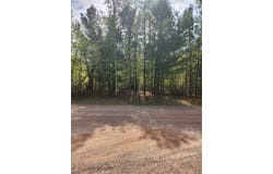 Setting Sun Trail Way lot: 69, Danbury, WI 54830