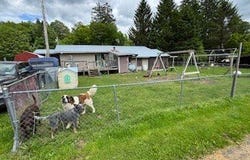 103 Loomis Lane, Columbus, NY 13460