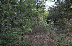 760 VZ County Road, Eustace, TX 75124