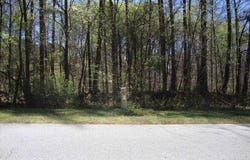 2515 SLATER MILL, Douglasville, GA 30135