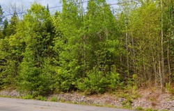 Lot 12 Grant Road, Orono, ME 04473