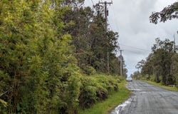 49 KOKOKAHI RD, Volcano, HI 96785