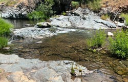 Sheep Ranch Rd, Sheep Ranch, CA 95246