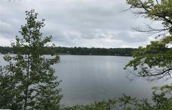 Wild Cherry Lane, Hale, MI 48739