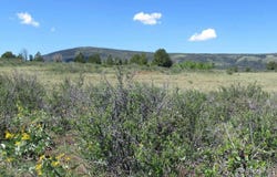 Livermore, CO 80536