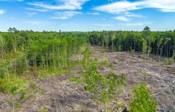 Tbd Pond Road, West Gardiner, ME 04345