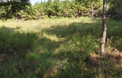 Tbd County Road 3121, Henderson, TX 75669