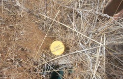 APN 008-090-06, Imlay, NV 89418