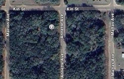 ANNETTE AVENUE, INTERLACHEN, FL 32148