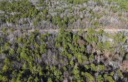00 Private Road 7493, Hawkins, TX 75765