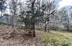 51 Forest Pines Drive, East Dennis, MA 02641