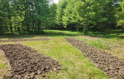 0 Greenbush Rd, Erin, NY, NY 14838