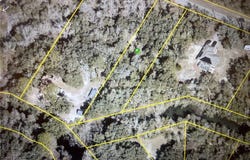 7355 N Canal St, Webster, FL 33597