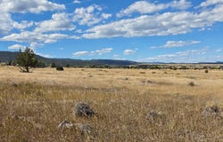 Beckwith Dr lot: 265, Colorado City, CO 81019