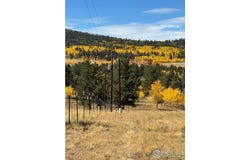 2841 Singletree Rd, Hartsel, CO 80449