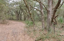 LAKEVIEW Drive, Melrose, FL 32666