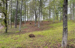 1030 Macedonia Church, Blue Ridge, GA 30513