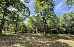 Lot 5 Hobbstown Road, Dunlap, TN 37327