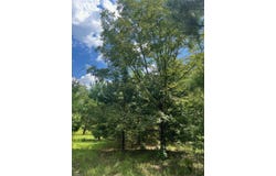 0 Thomson Highway, Warrenton, GA 30828