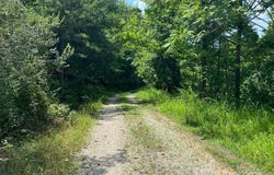 1232 Left Fork Joels Branch Road, Genoa, WV 25517