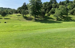 8245 Whites Creek Road, Wayne, WV 25570