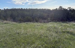 14495 Scott Loop, Collbran, CO 81624