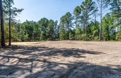 Hwy 121 lot: 2, Blackshear, GA 31516