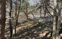 L1.13 Off Rossman Fly Road, Summit, NY 12175