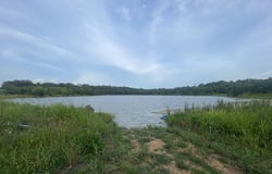 Lewis Lane, Starkville, MS 39759