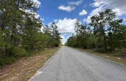 Tbd MALAUKA DRIVE, OCKLAWAHA, FL 32179