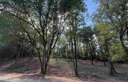 310 Co Rd 1123, Vinemont, AL 35179