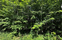 1 Acre 305th Avenue, Holcombe, WI 54745