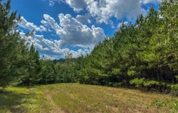 0 Moonlight Road, Jones, AL 36749