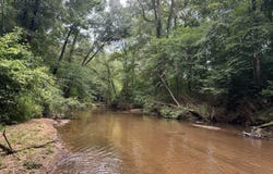 180.14 Ac Johnson Mill, Hamilton, GA 31811