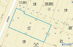 106 South Thaxton Street, Albertville, AL 35950