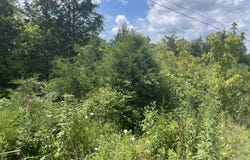 2750 Shadrick Ferry Road, Frankfort, KY 40601