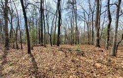 392 Beaver Ridge Road, Jasper, GA 30143