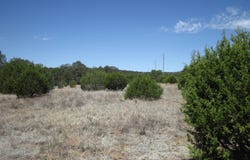 152 Jesse James Road, Edgewood, NM 87015