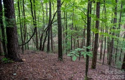 Wheel Team Trail, McGrady, NC 28649