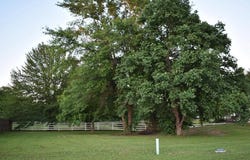 2824 Kingfisher Ln, Mount Pleasant, TX 75455