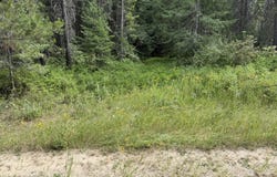 LOT 1 SPRINGDALE-HUNTERS RD, SPRINGDALE, WA 99173