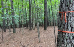 2651 E Paradise Harbor Drive, Connelly Springs, NC 28612
