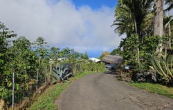 82-1187 GREENWELL MOUNTAIN RD, Captain Cook, HI 96704