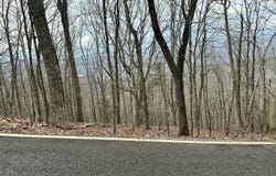 Butterfly Gap Rd, Maryville, TN 37803