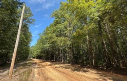 1 Railroad Ln, Pinola, MS 39149